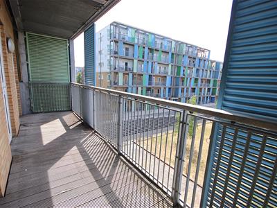 Picture 7